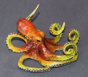 Barry Stein Barry Stein Oscar (Octopus)